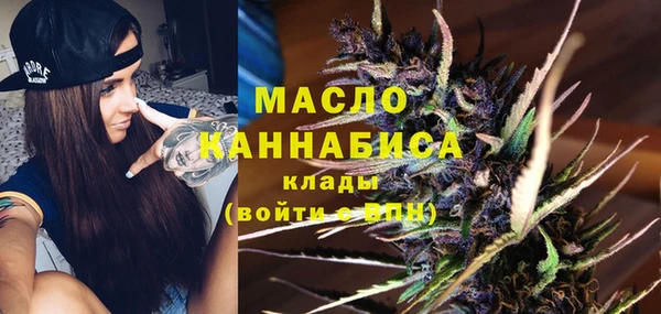 мдпв Весьегонск