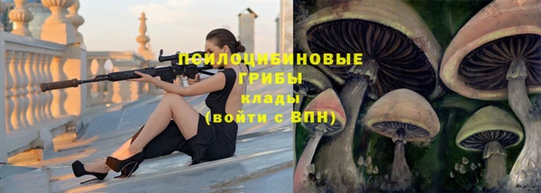 гидропоника Снежногорск