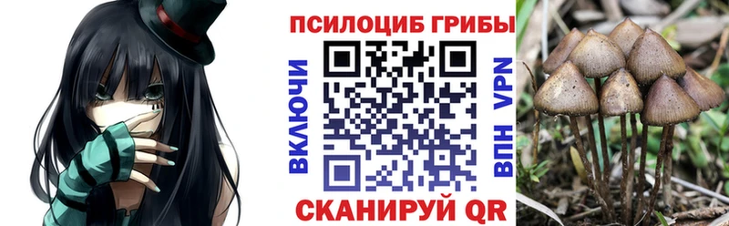 ОМГ ОМГ ссылки  Белый  Галлюциногенные грибы прущие грибы 